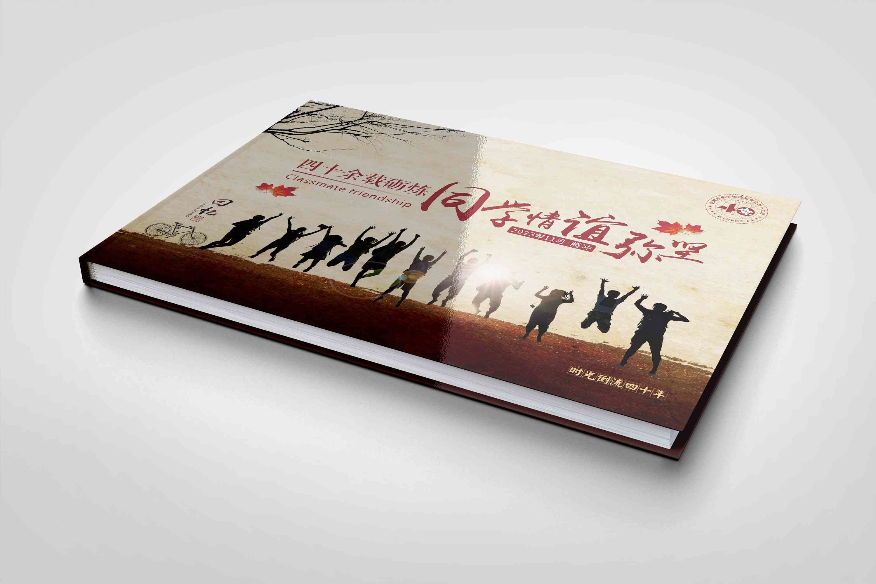 成都畫(huà)冊(cè)設(shè)計(jì)